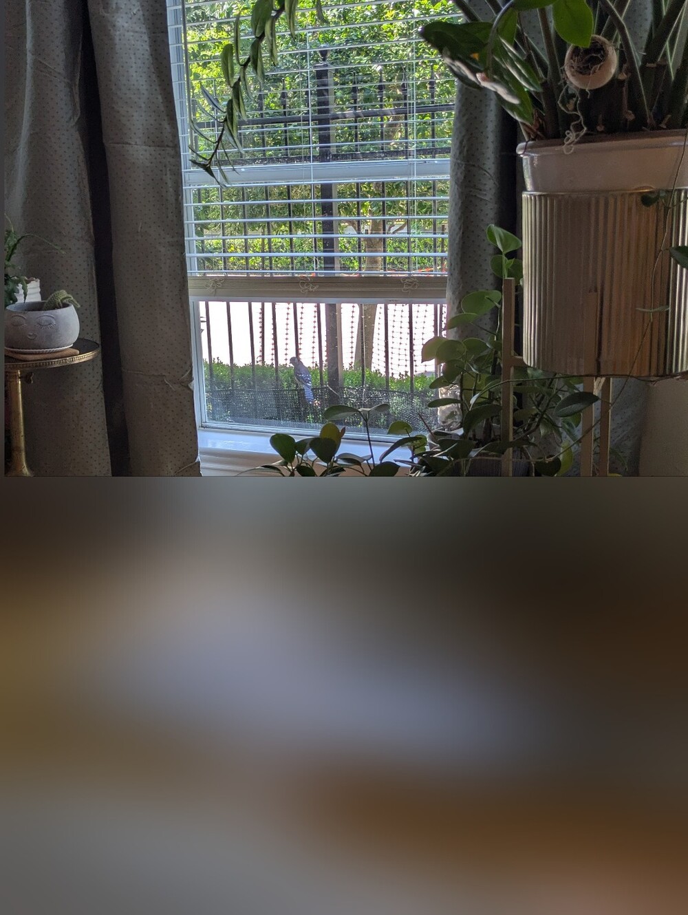 Blackout Custom Designer Curtain Panels